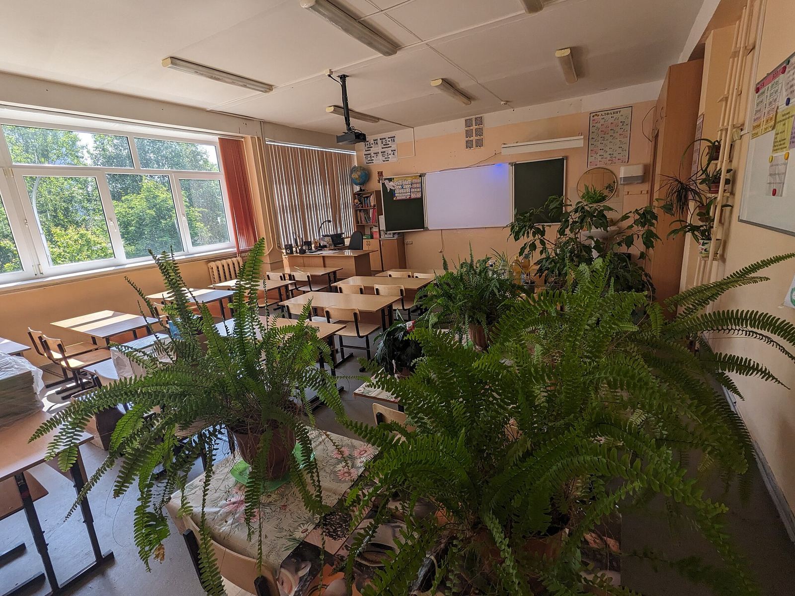A sunlit classroom
